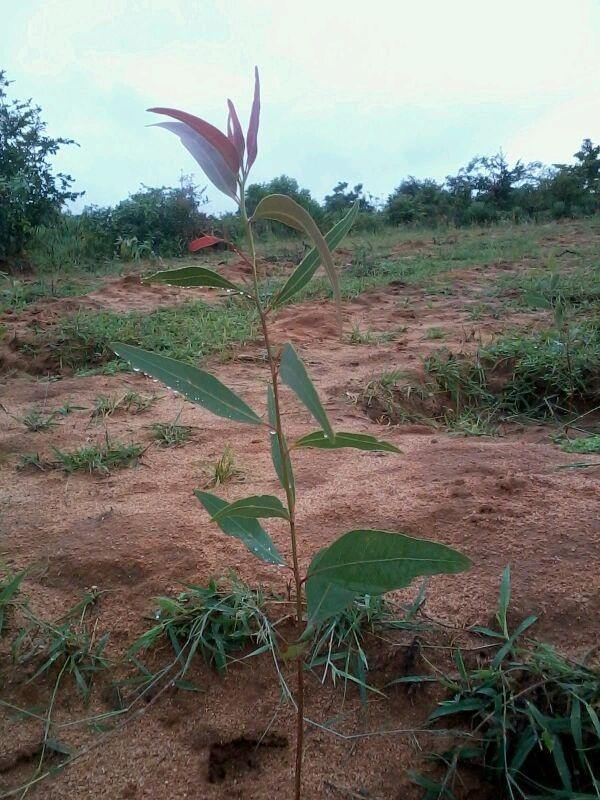 184211_10200451510072527_1291958451_n