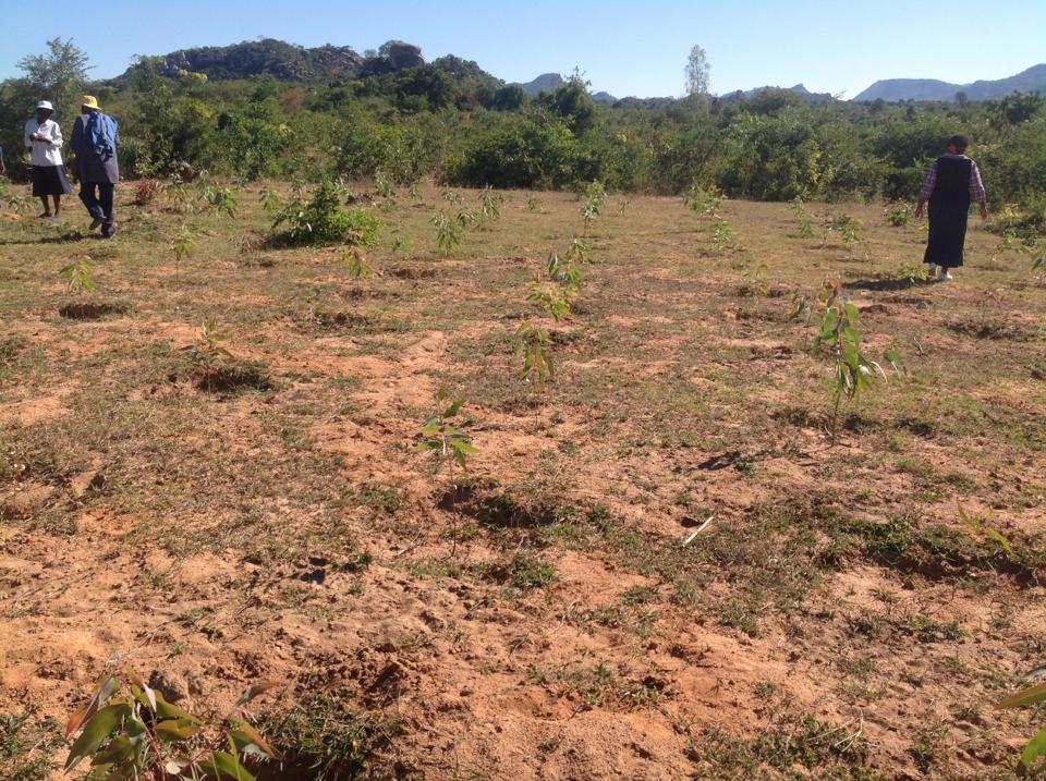 11821_10200949984134067_2142547440_n