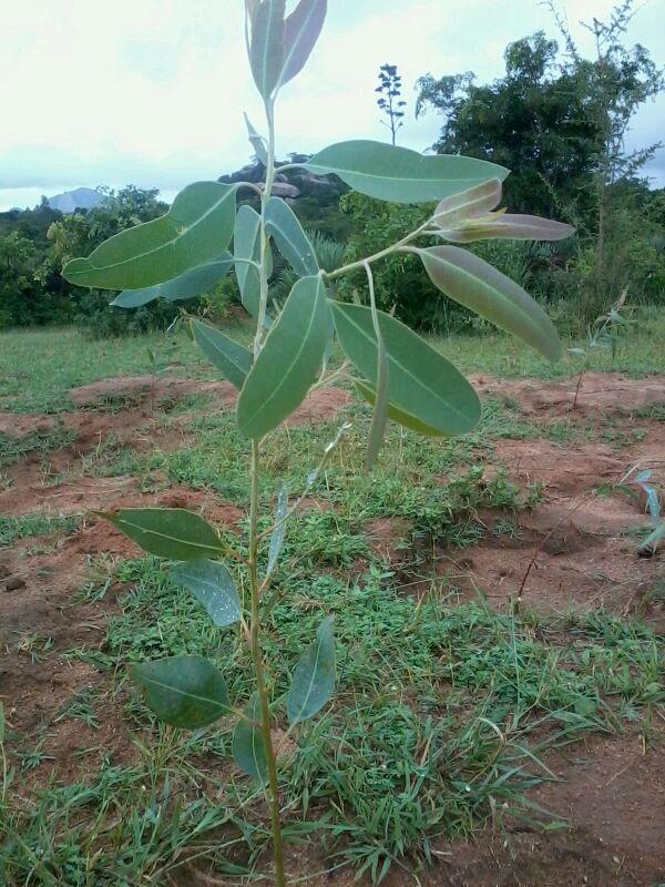 65543_10200451525392910_902028358_n