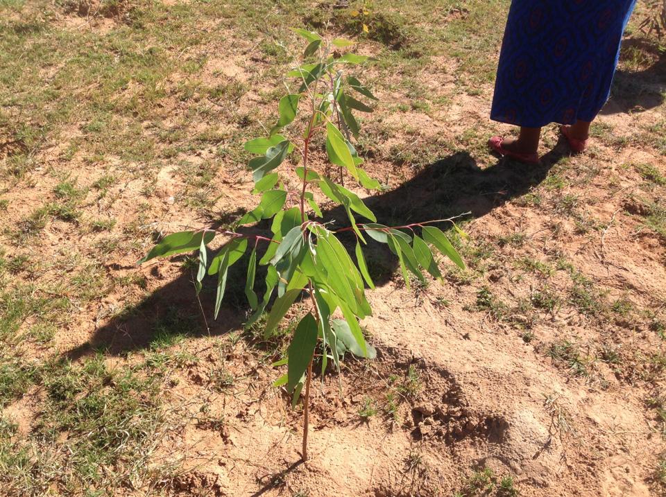 11734_10200949981854010_1269849017_n