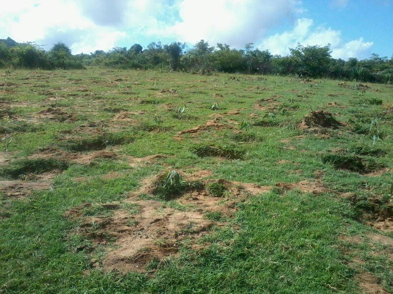 35471_10200484907427440_1218266986_n