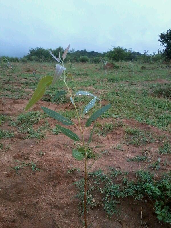 404897_10200451516392685_137272504_n