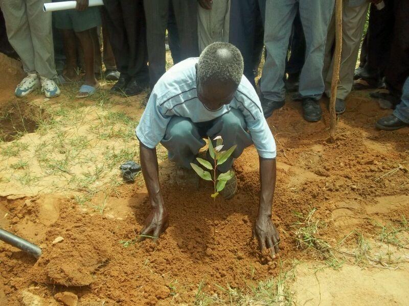 426684_10200421285516932_861423223_n