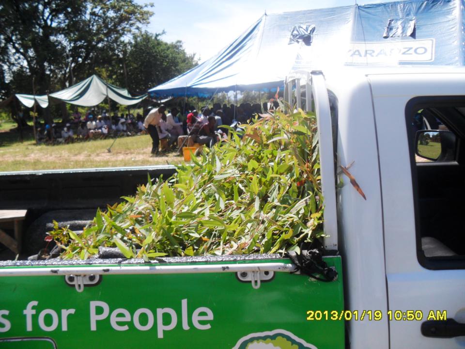 485195_10200421589644535_1128001436_n