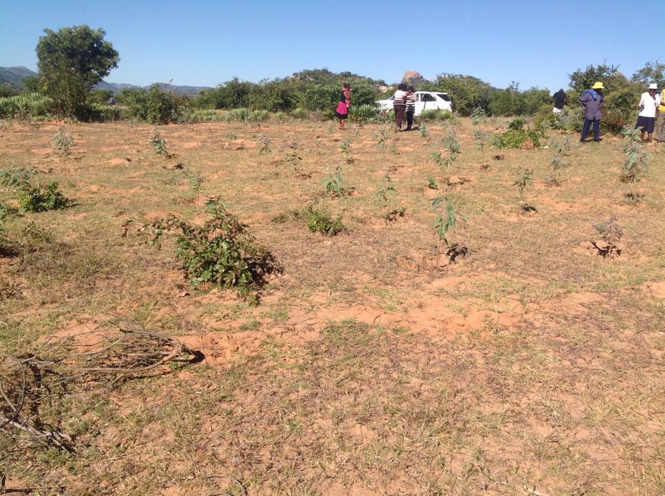 922700_10200949980213969_1320142769_n