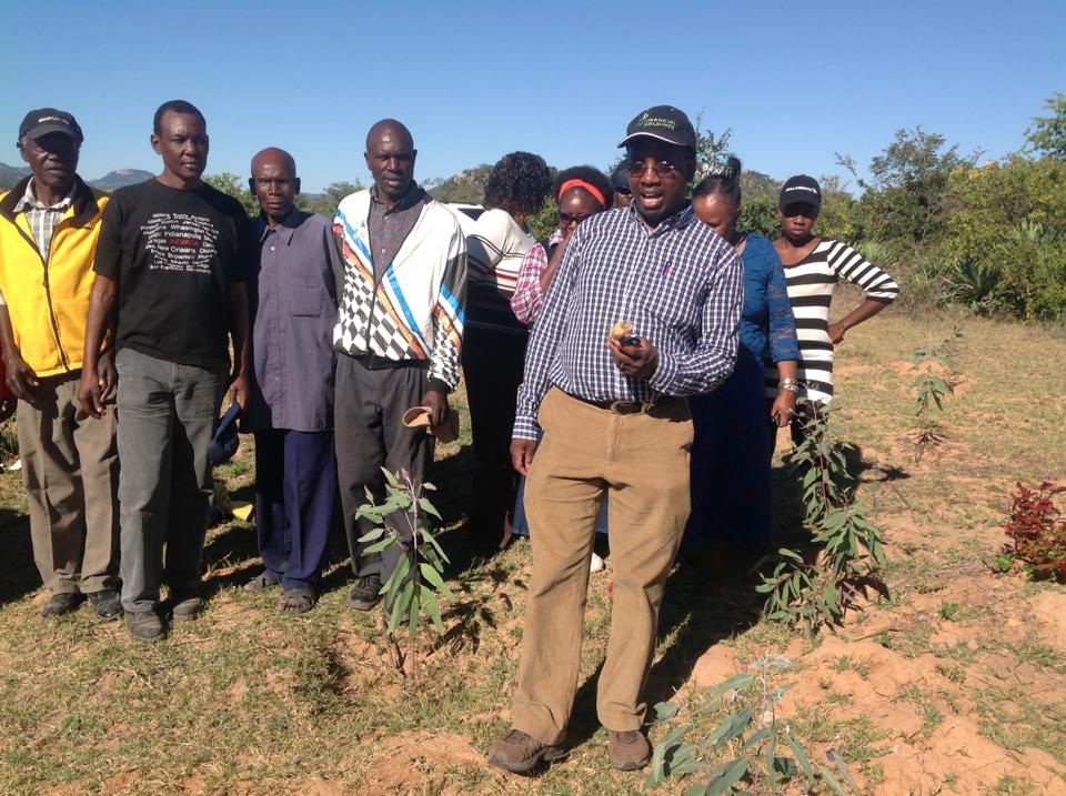 943459_10200949987854160_1217728436_n