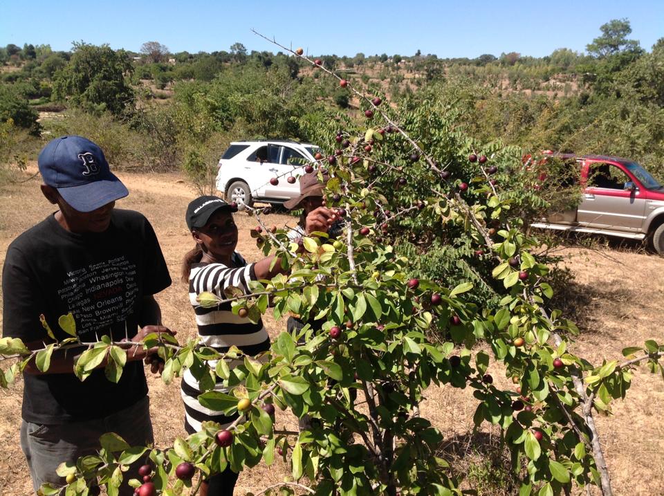 946260_10200949953013289_678048734_n