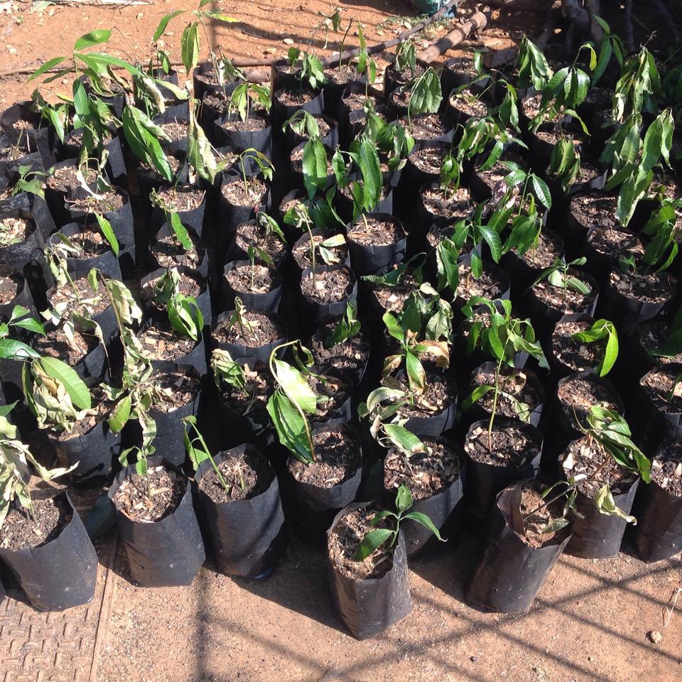 10380961_10203754958376670_4883142284101796434_n