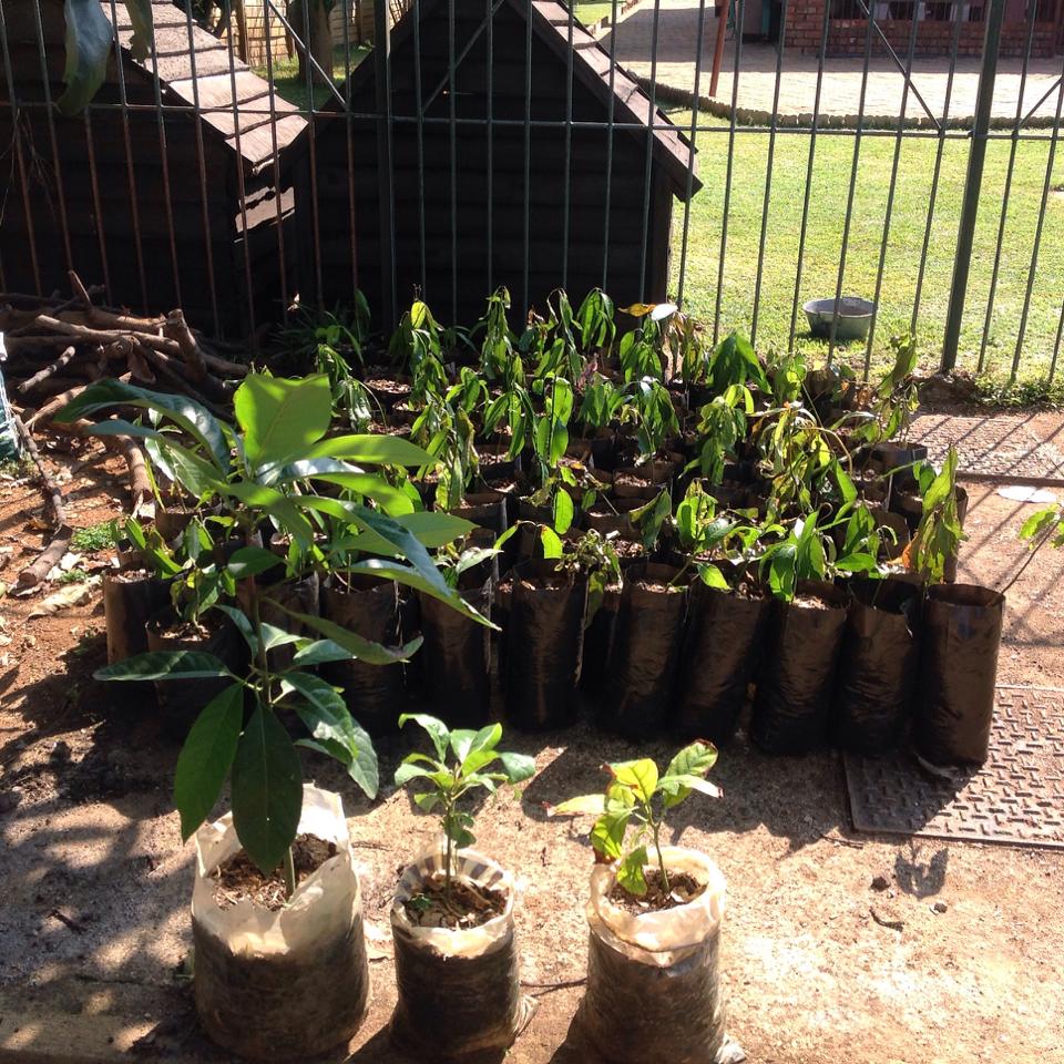 10345997_10203754958936684_6054936921316681429_n