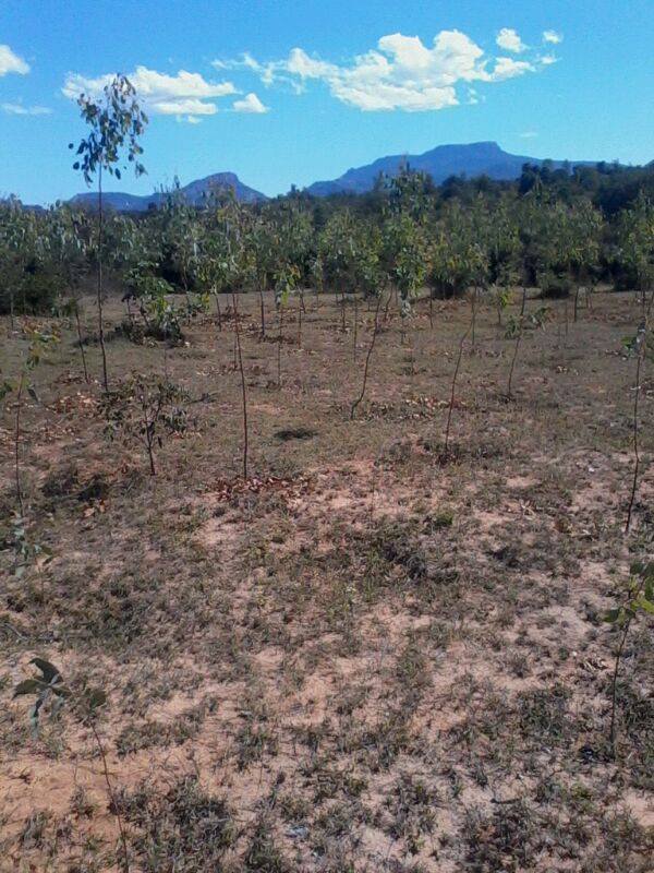 10306731_10203795354426546_5044634476177169155_n