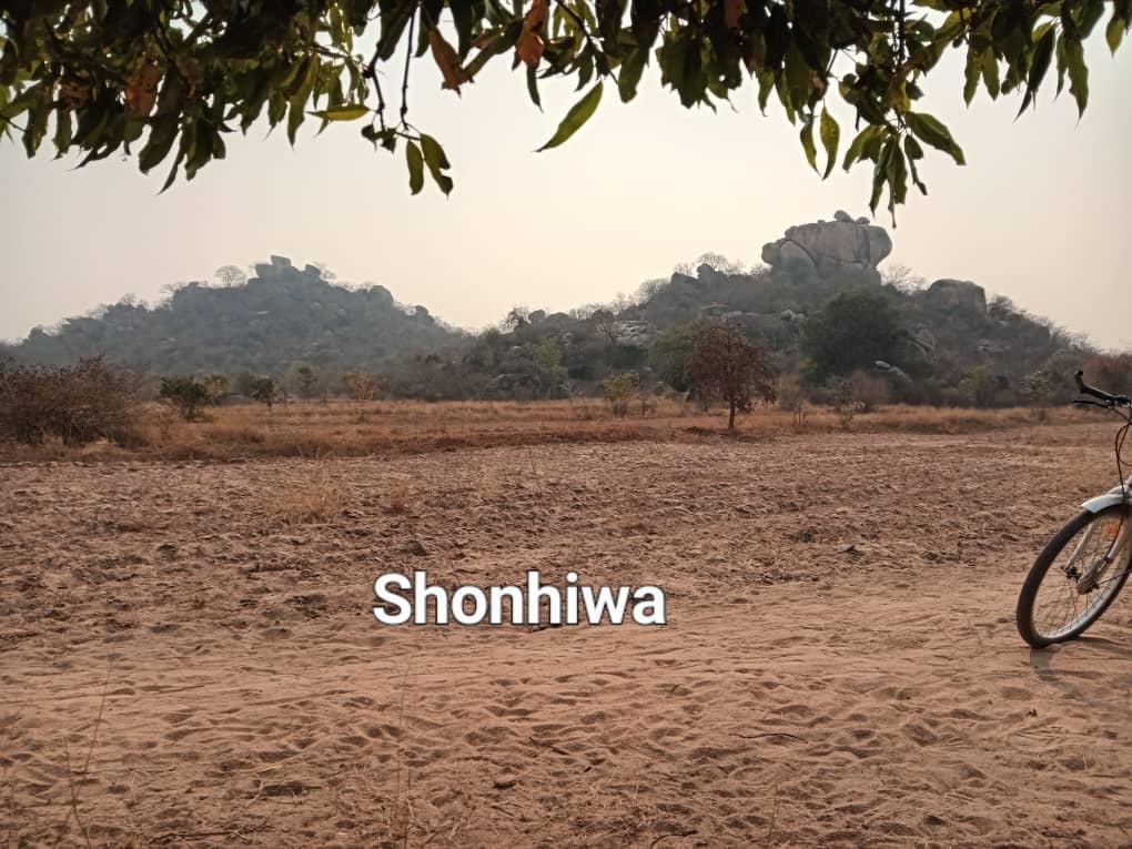 510978690_10238103539669735_6627115918530453451_n