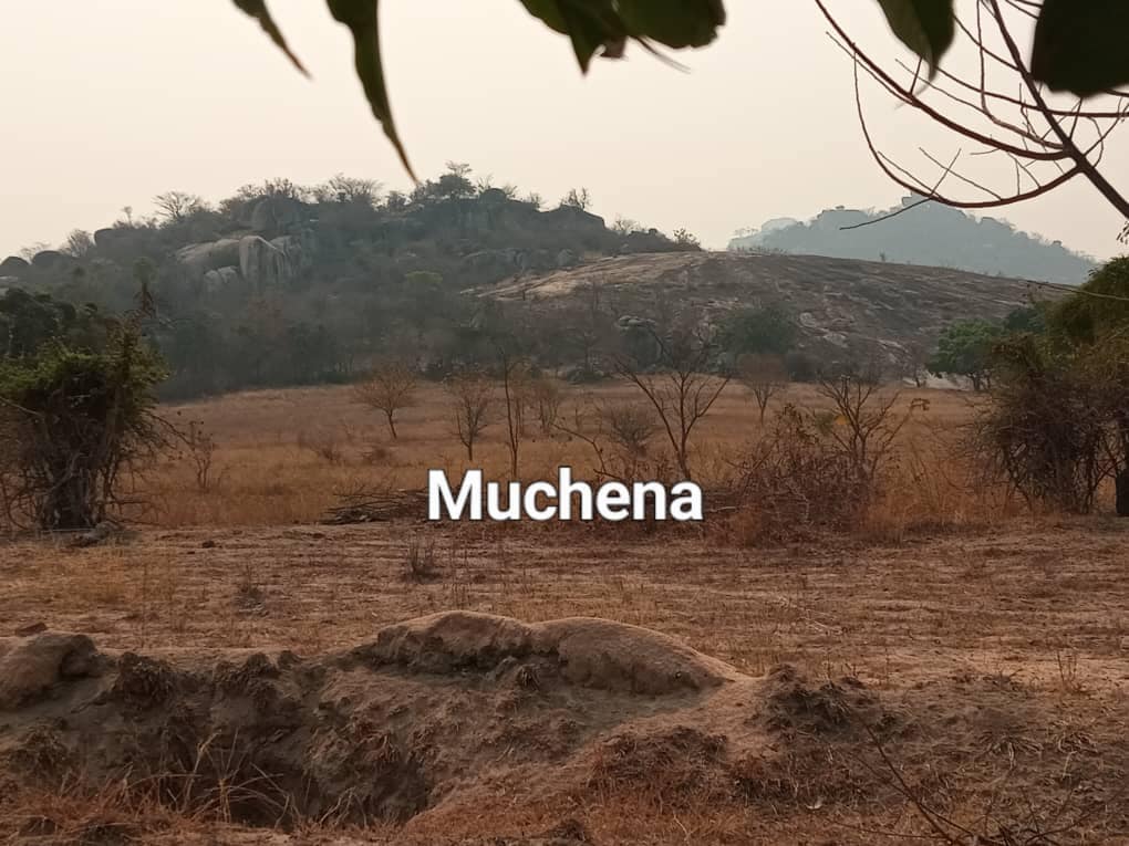 512789913_10238103539349727_3892740475114642475_n