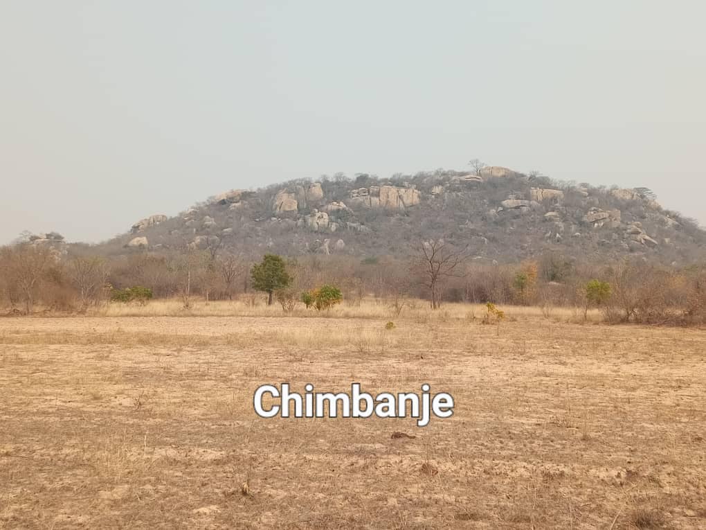 510316102_10238103541749787_7100423443962227801_n