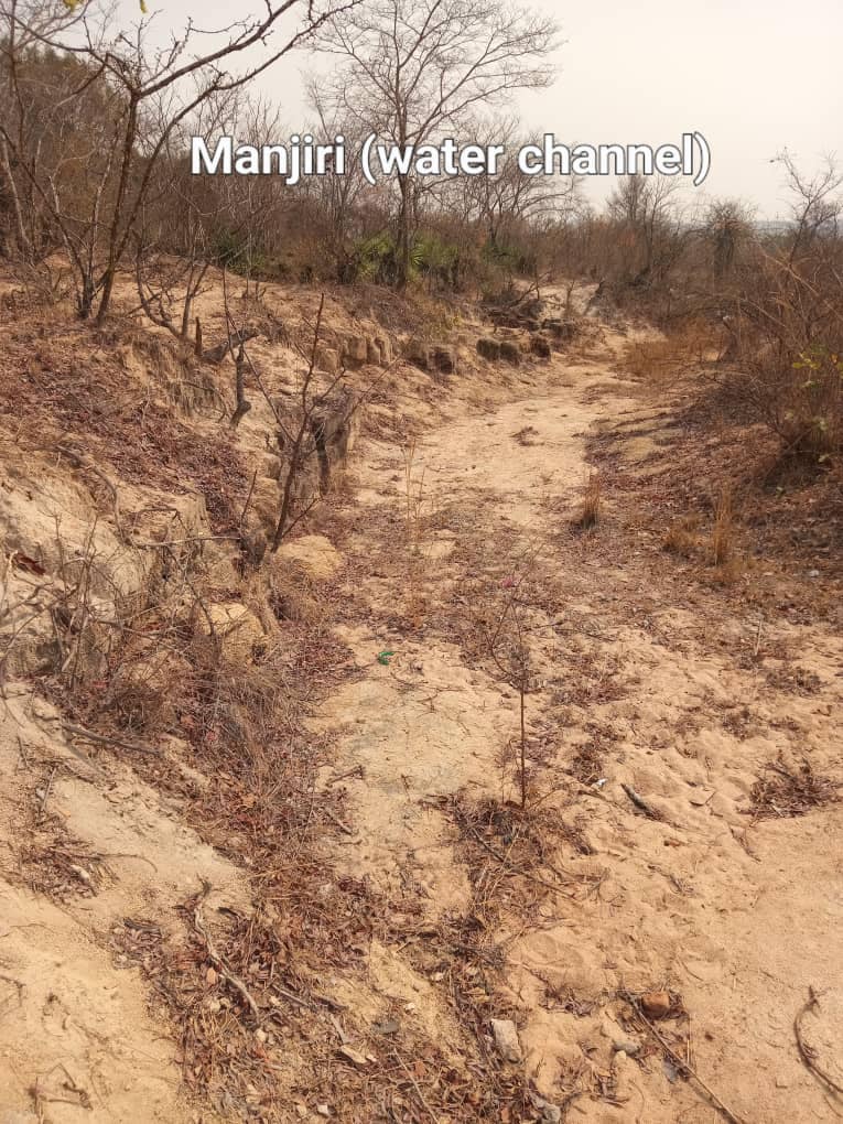 512778547_10238103541549782_8655001811377159575_n