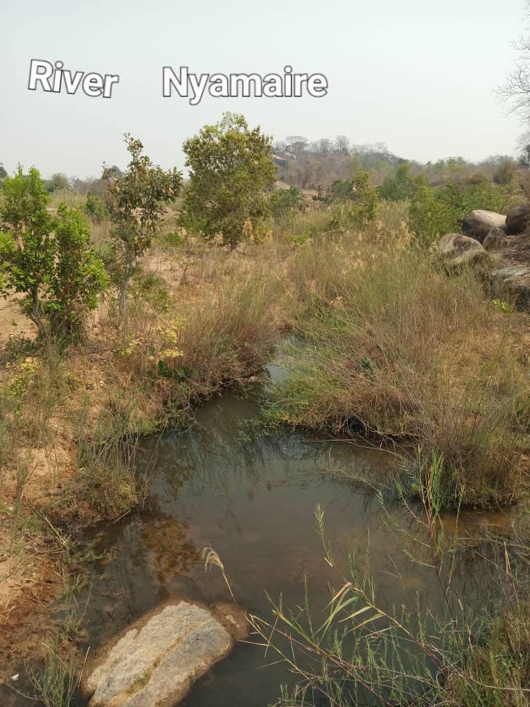 513040613_10238103544349852_7662463797778142965_n