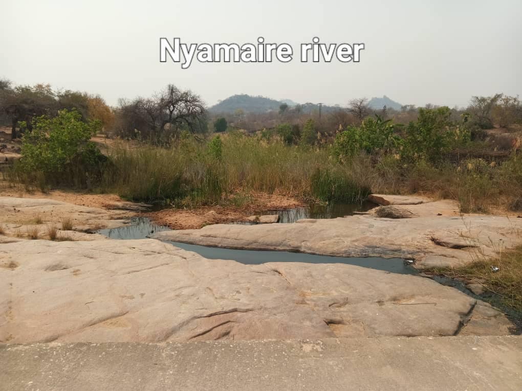 513246835_10238103544269850_4202120245142314193_n