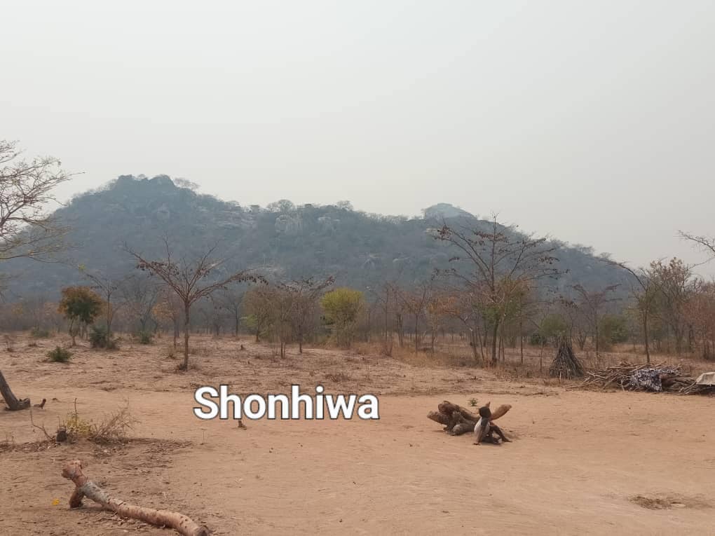 512734468_10238103539589733_1924624726769502688_n