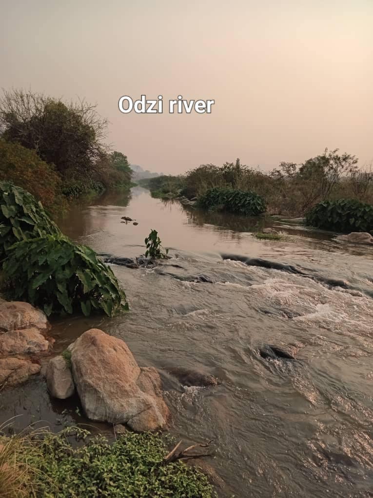 513049338_10238103539269725_9221258500069084959_n