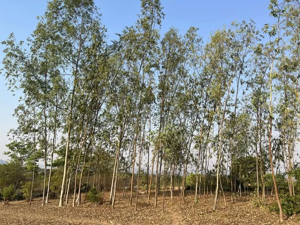 505989291_10237806732209734_7919841410156393862_n