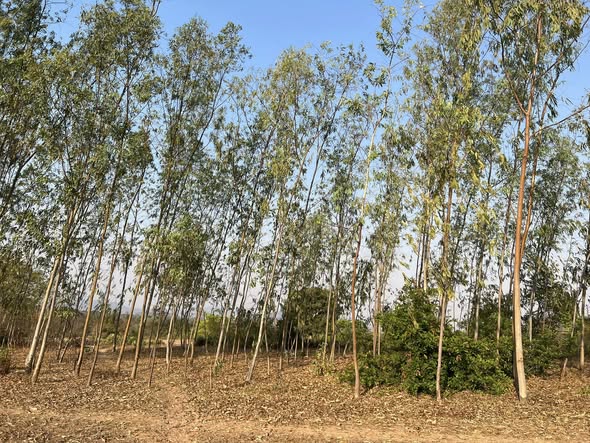 506048512_10237806730329687_5064225400436422257_n