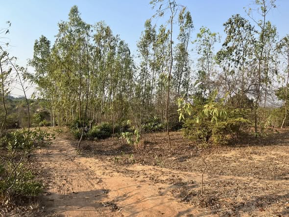 505635223_10237806732169733_6359004232869732422_n