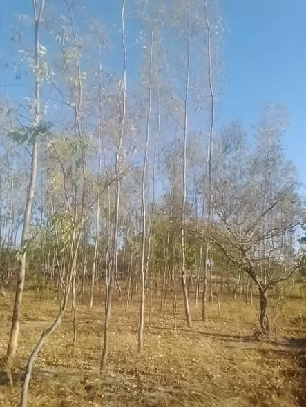 506047949_10237806727449615_492192906363485558_n