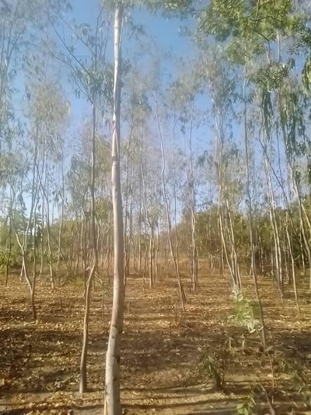 505740527_10237806729009654_1930933904783056928_n