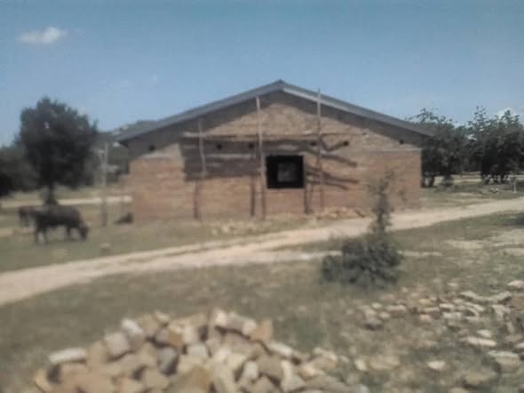 85072902_10221843844067507_400757501399662592_n