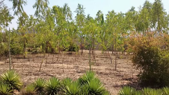 519396018_10238813444016900_3120863402371444407_n