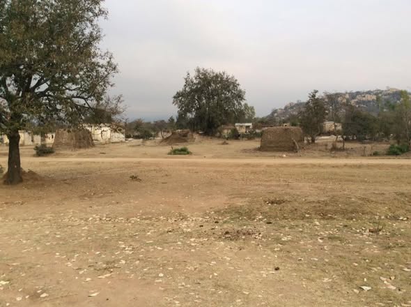 492114574_2507096146305653_8664360872107092157_n