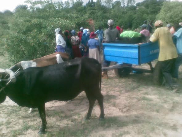 518378944_10238794430941585_1967326293193575120_n