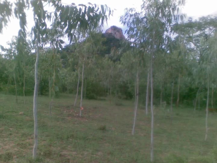 518297914_10238794433741655_9104379321454419683_n