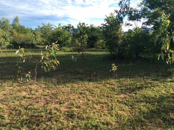 518365741_10238794435101689_203962577124951619_n