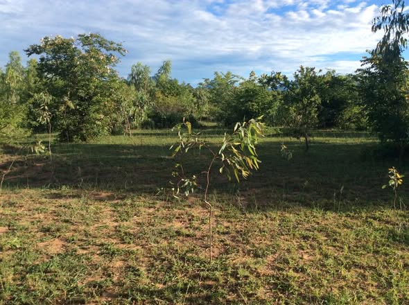 518154344_10238794430501574_3741105553691136074_n