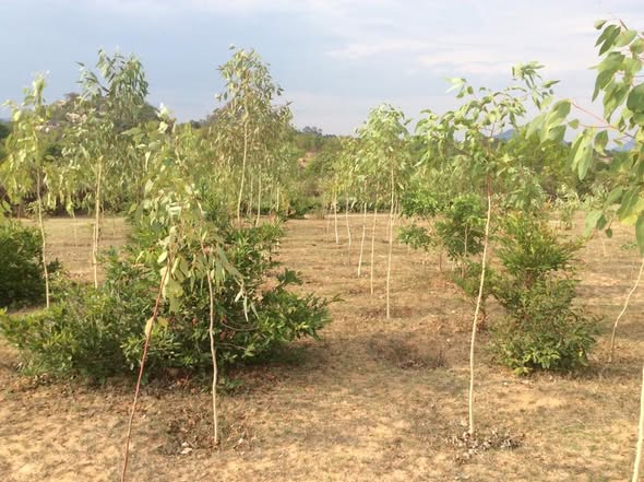 517686079_10238577093188277_5890197380202598577_n