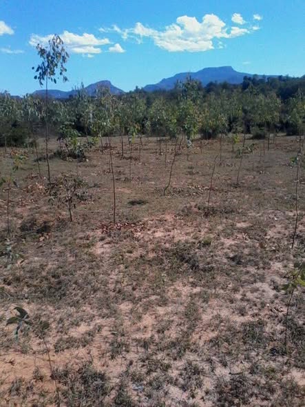 516871877_10238530171095254_7682796411466357368_n