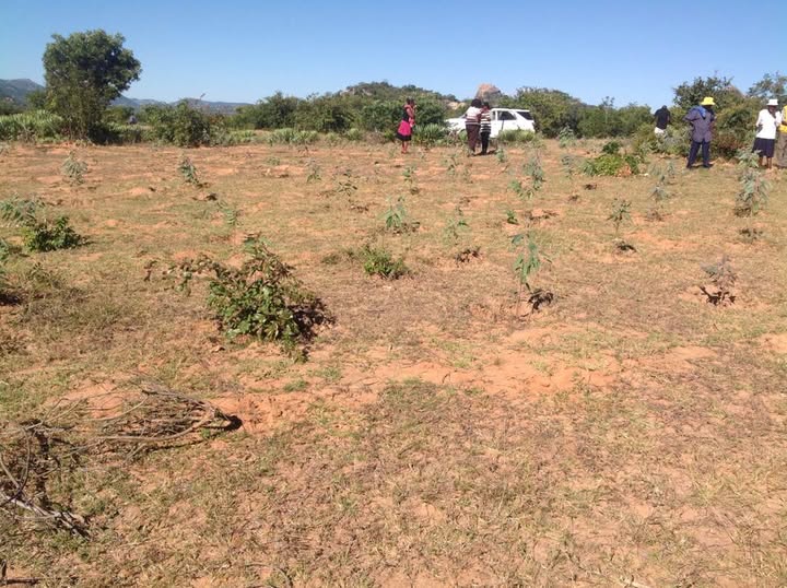 517080971_10238431408826259_7996277797393781379_n