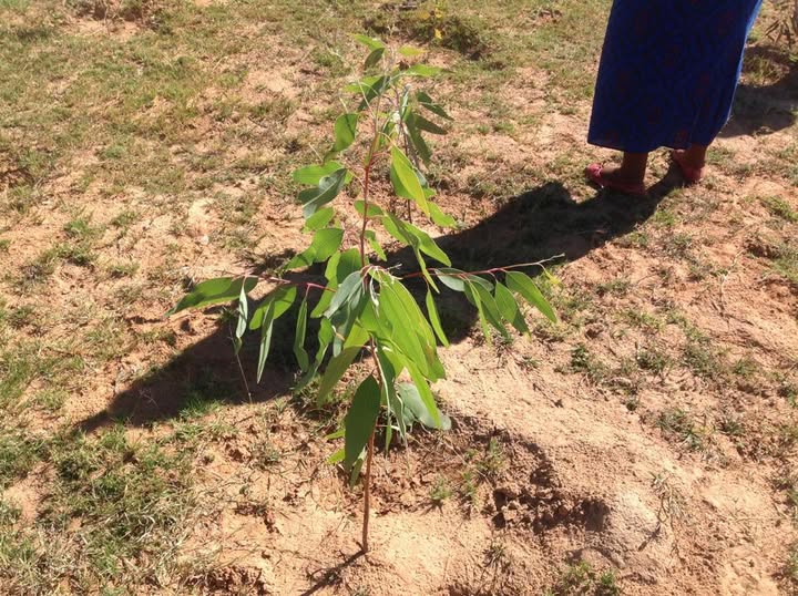 516132223_10238431407306221_8355558971875071372_n