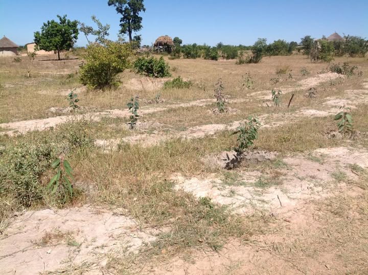 516702774_10238431410146292_3372058523179547825_n