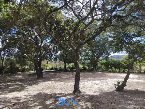 665867126_10242659237999346_1604573698900483924_n