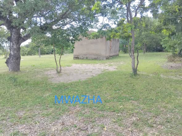 663339395_10242659238079348_2221731015729297036_n