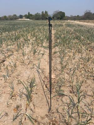 Community Empowerment Projects